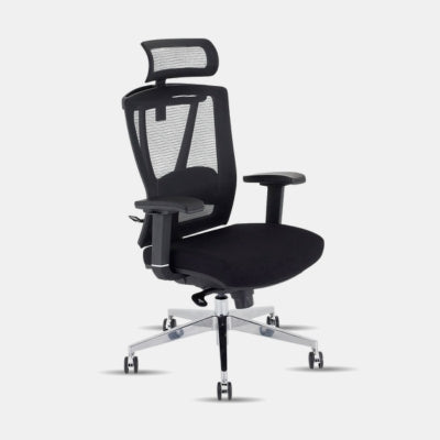 Orthopadics Chairs