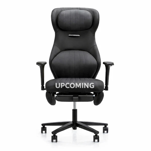 Eoxo ErgoLuxe Executive Chair