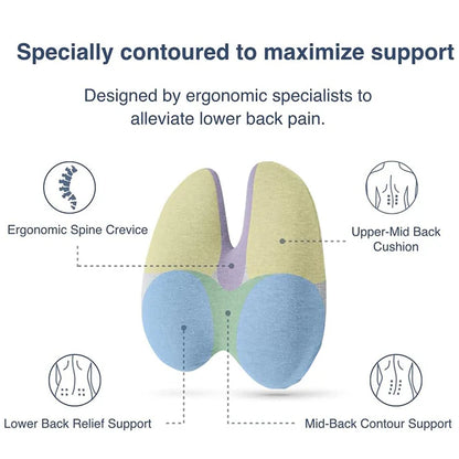 Eoxo Pro Seating Combo